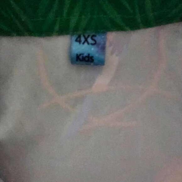 Boys Tiki room shirt - Picture 2 of 2